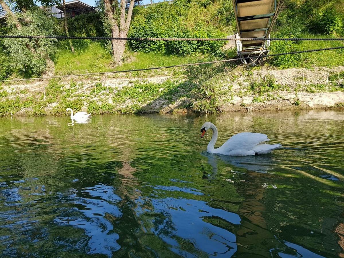 Grande Peniche 4 Ch - 10 Pers -Paris - Ile De Puteaux- Terrasses别墅 外观 照片